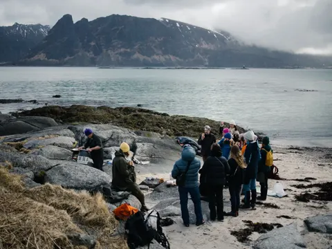Guided coast walk